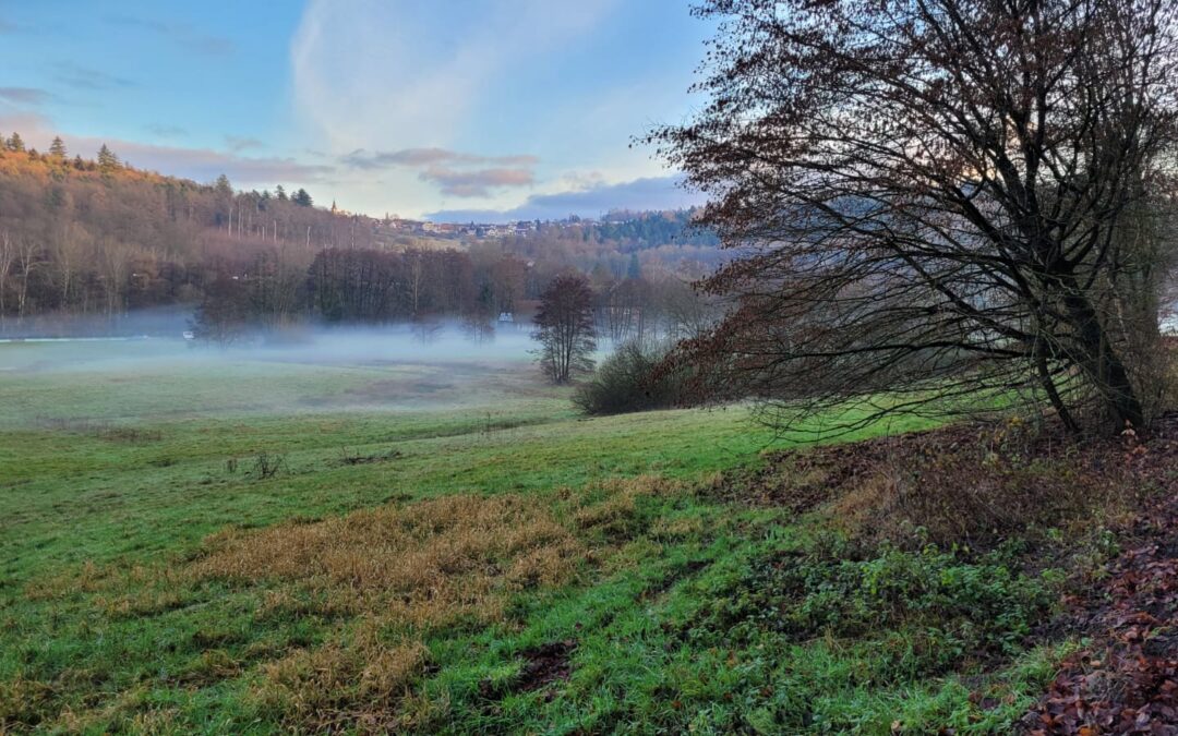 Wir haben unseren Rhythmus gefunden…