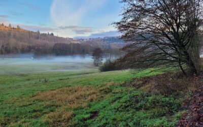 Wir haben unseren Rhythmus gefunden…
